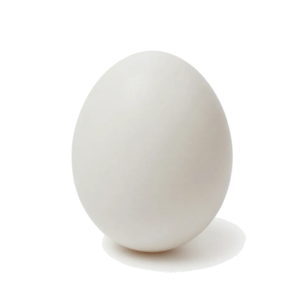 계란 사진