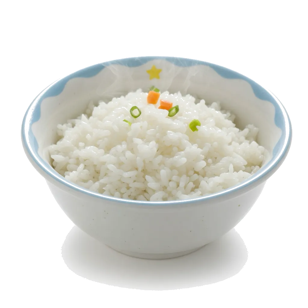 밥 사진