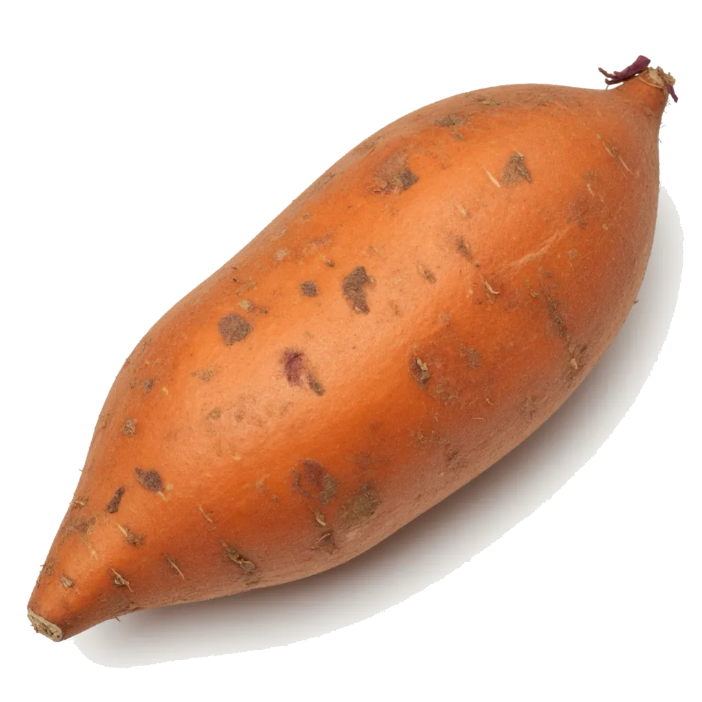고구마 사진